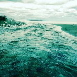 Meet your Posher, Robby